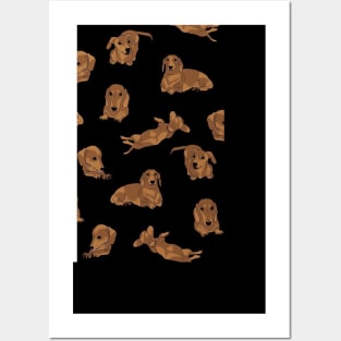 Short Haired Dachshund Pattern Posters and Art